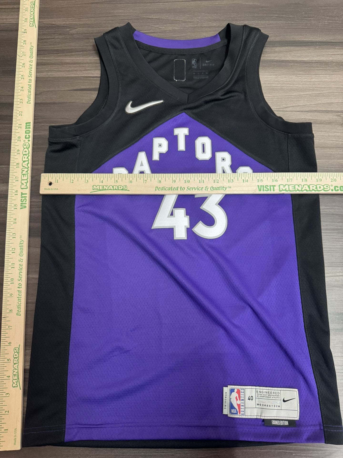 Nike Toronto Raptors Pascal Siakam #43 Earned Edition Swingman