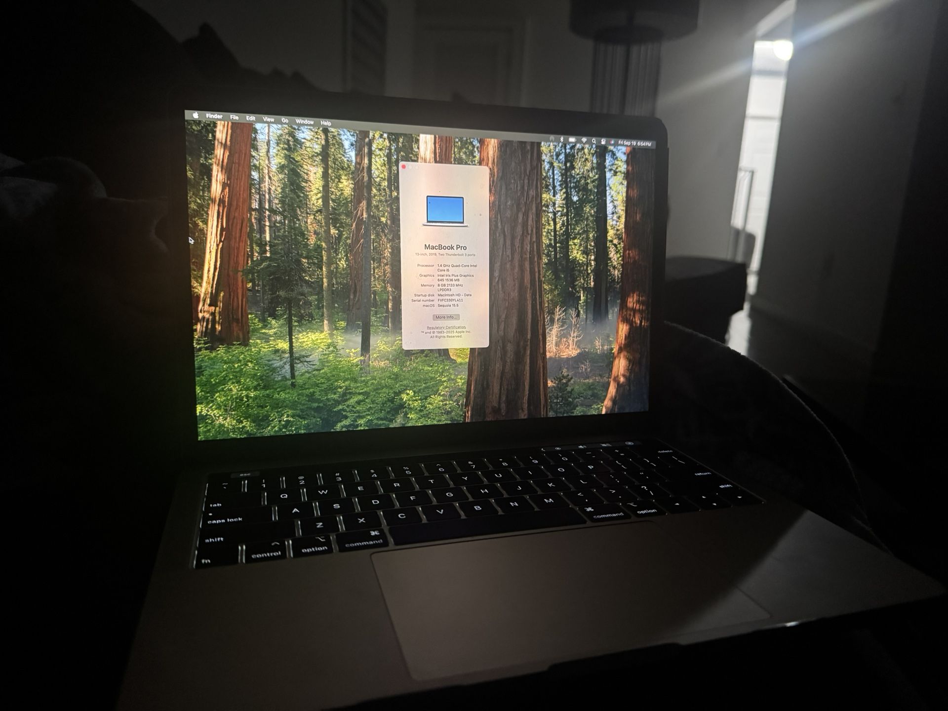 Macbook Pro 13-inch, Late 2019 Flawless