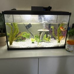 Topfin 10 Gallon Tank
