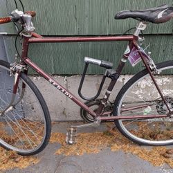 70s Mizutani Seraph 10 Speed