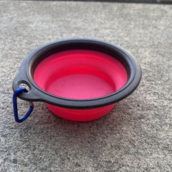 Collapsible Pet Water Bowl
