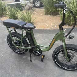 Electric Bike RadRunner 
