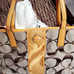 Purse Coach