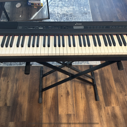 Donner electronic keyboard/piano with weighted keys