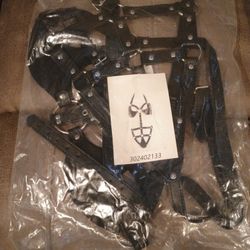 Brand New Dominatrix Lingerie