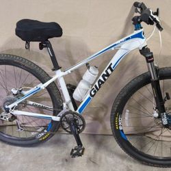 Giant Talon 1 LG 29