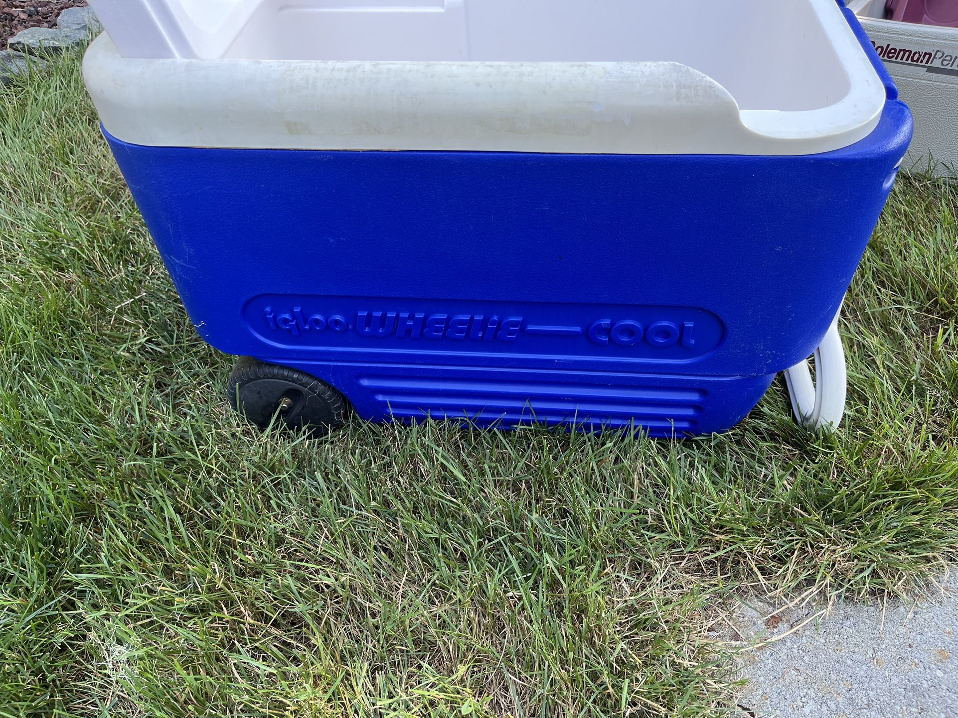 Igloo Wheelie 38 qt Cooler