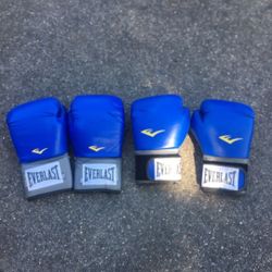 Everlast Boxing Gloves