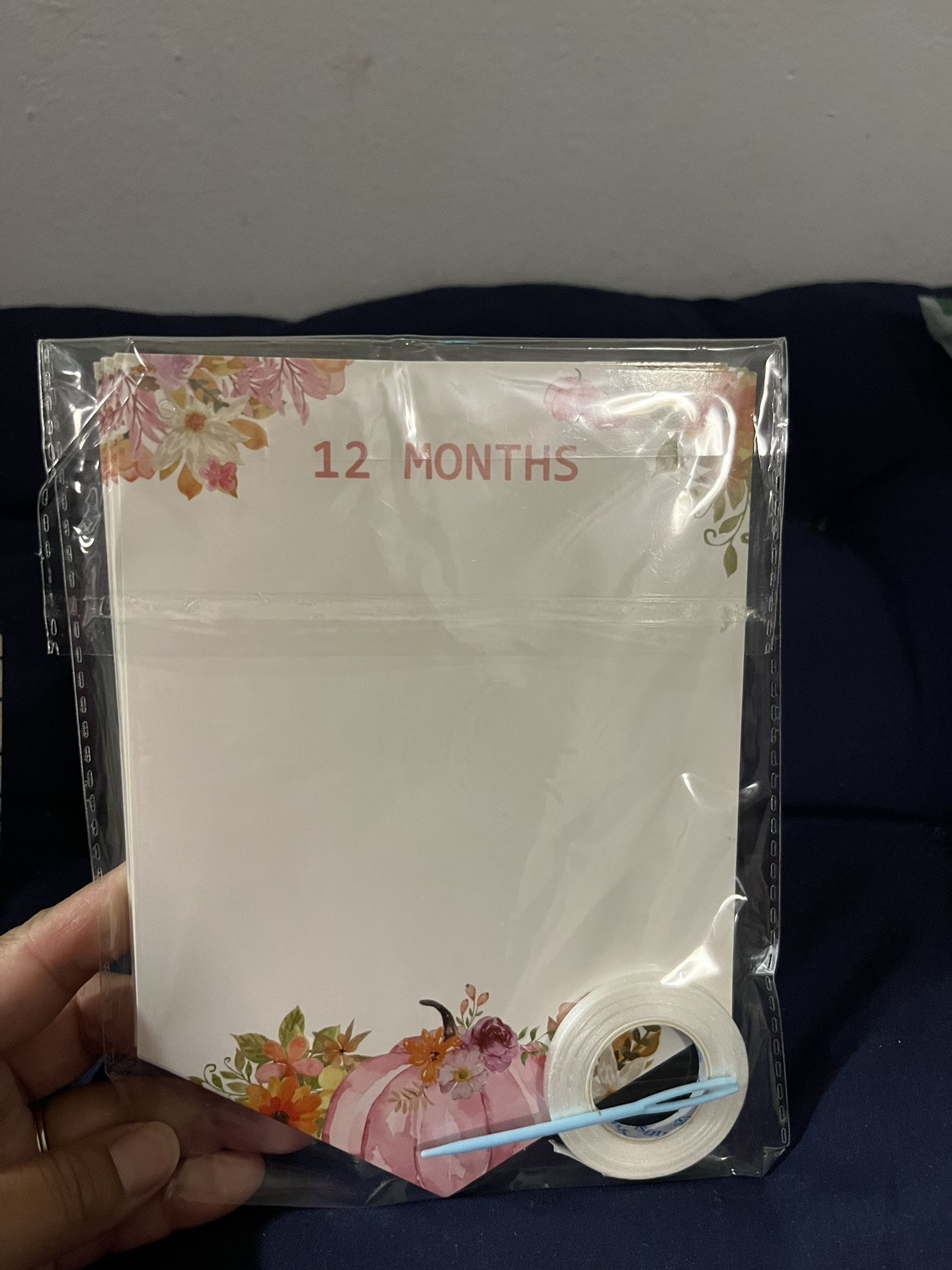 baby girl 12 months milestone banner picture