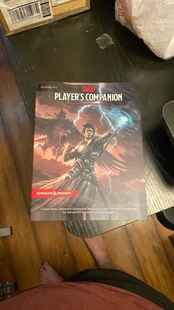 Dungeons and dragons player companion