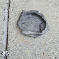 Reptile Water Container