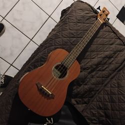 Acoustic Electric Bass