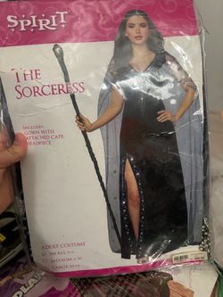 Spirit The Sorceress Adult Halloween Costume Small