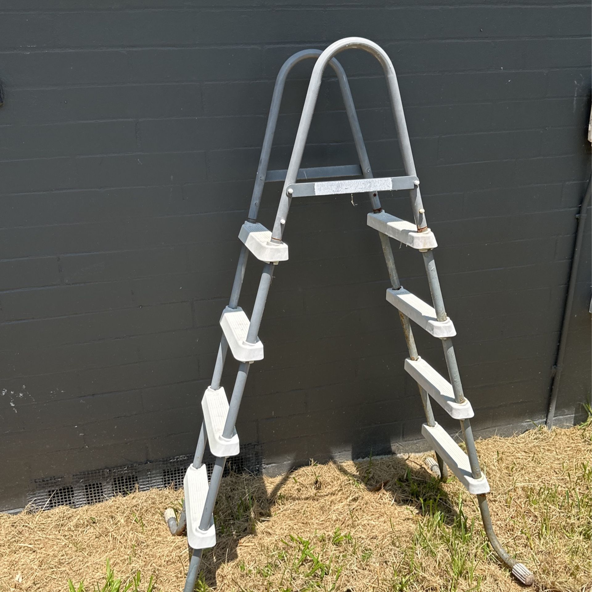 Pool Ladder