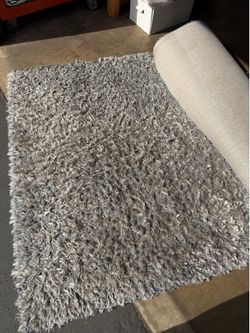Light Gray Area Rug 5’x7’