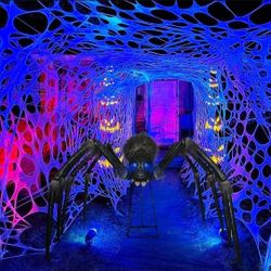 Holloween Giant Spider