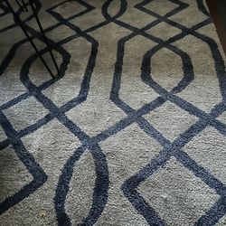 Pottery Barn 8x10 Rug