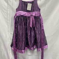 Beautiful Sparkling Purple Dress