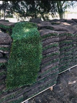 Sod and sprinkles