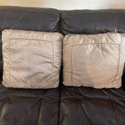 SET OF 2 Beige Satin Decorative Pillows 19”x19”