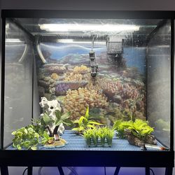 25 Gallon Aquarium Kit