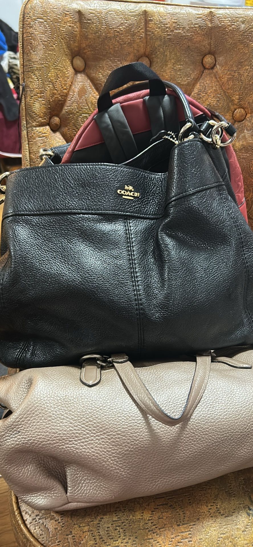 Coach shoulder