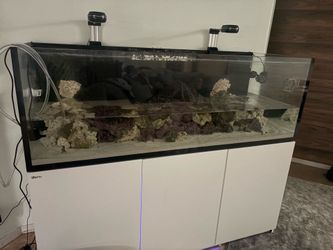 Red sea750 xxl v3 aquarium