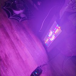 Indoor Grow Light And Accessories 