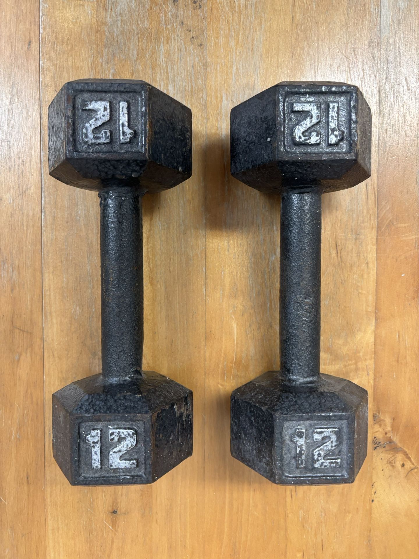 Classic 12lbs Dumbbells Weights