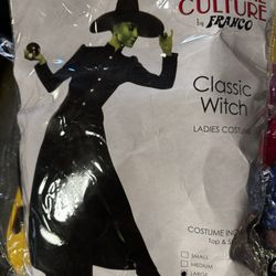 Wicked Costume Size Large 
