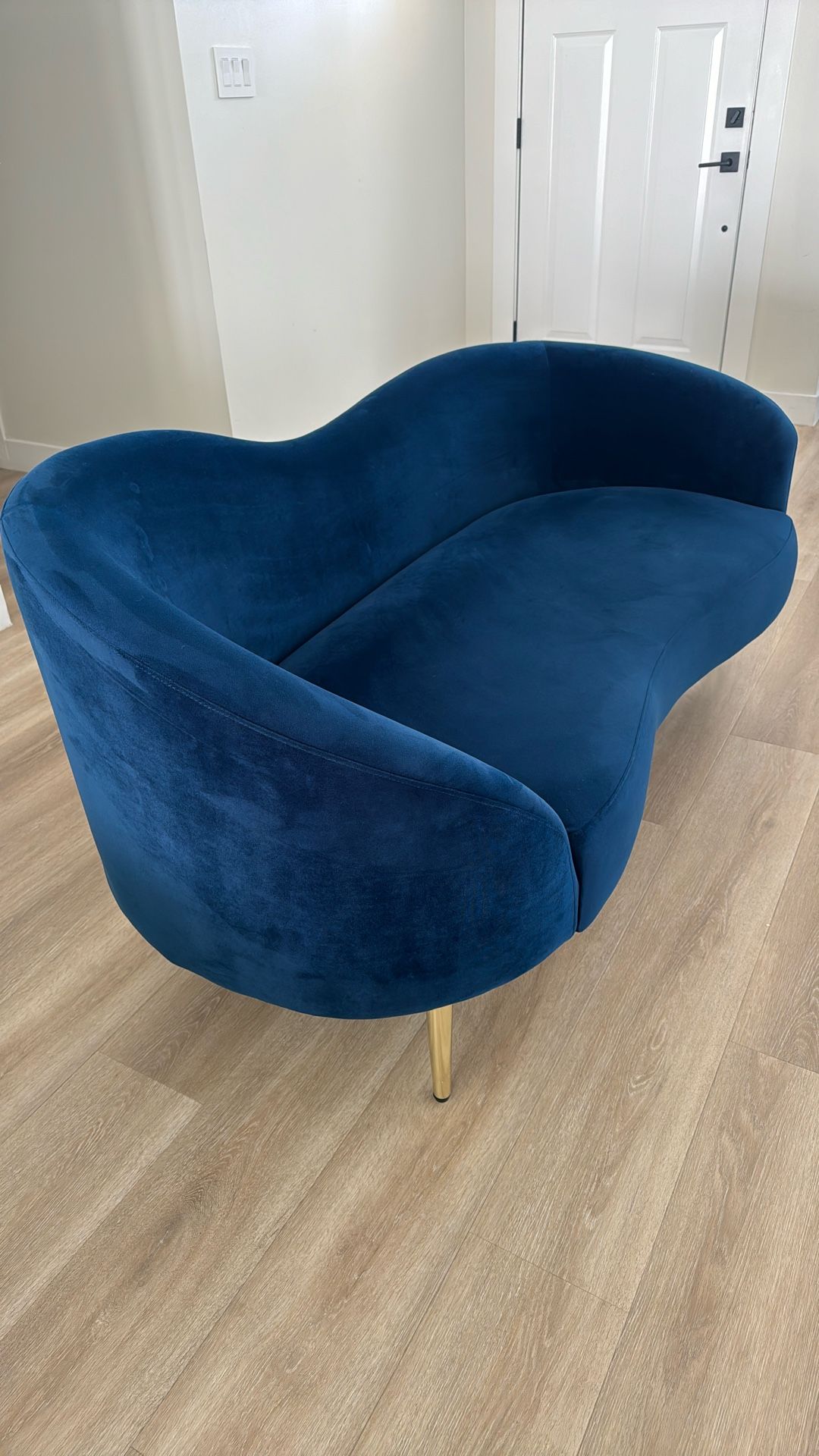 Velvet Loveseat Sofa