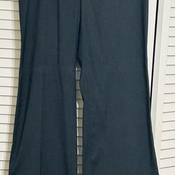 Banana Republic Ladies Size 10 Slacks