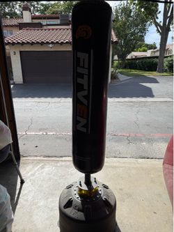 Free standing punching bag
