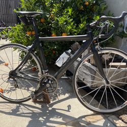 2005 Cannondale Synapse Carbon Fiber 53cm