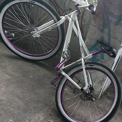 Monsterquad Se Bike  Artic White 29 Inch
