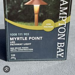 Low voltage water proof path light