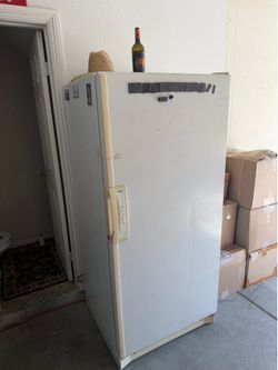 Free moving all must go