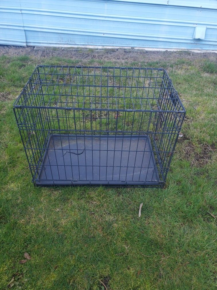 Dog Kennel 