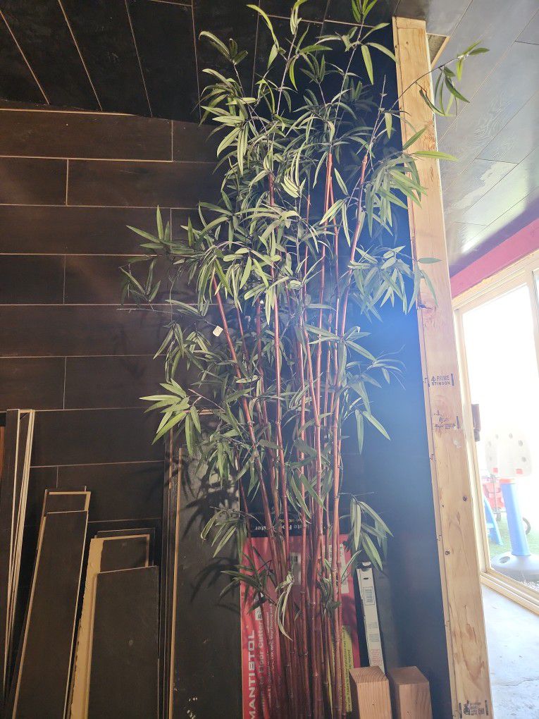 7.5' Tall Bamboo Plant Decor