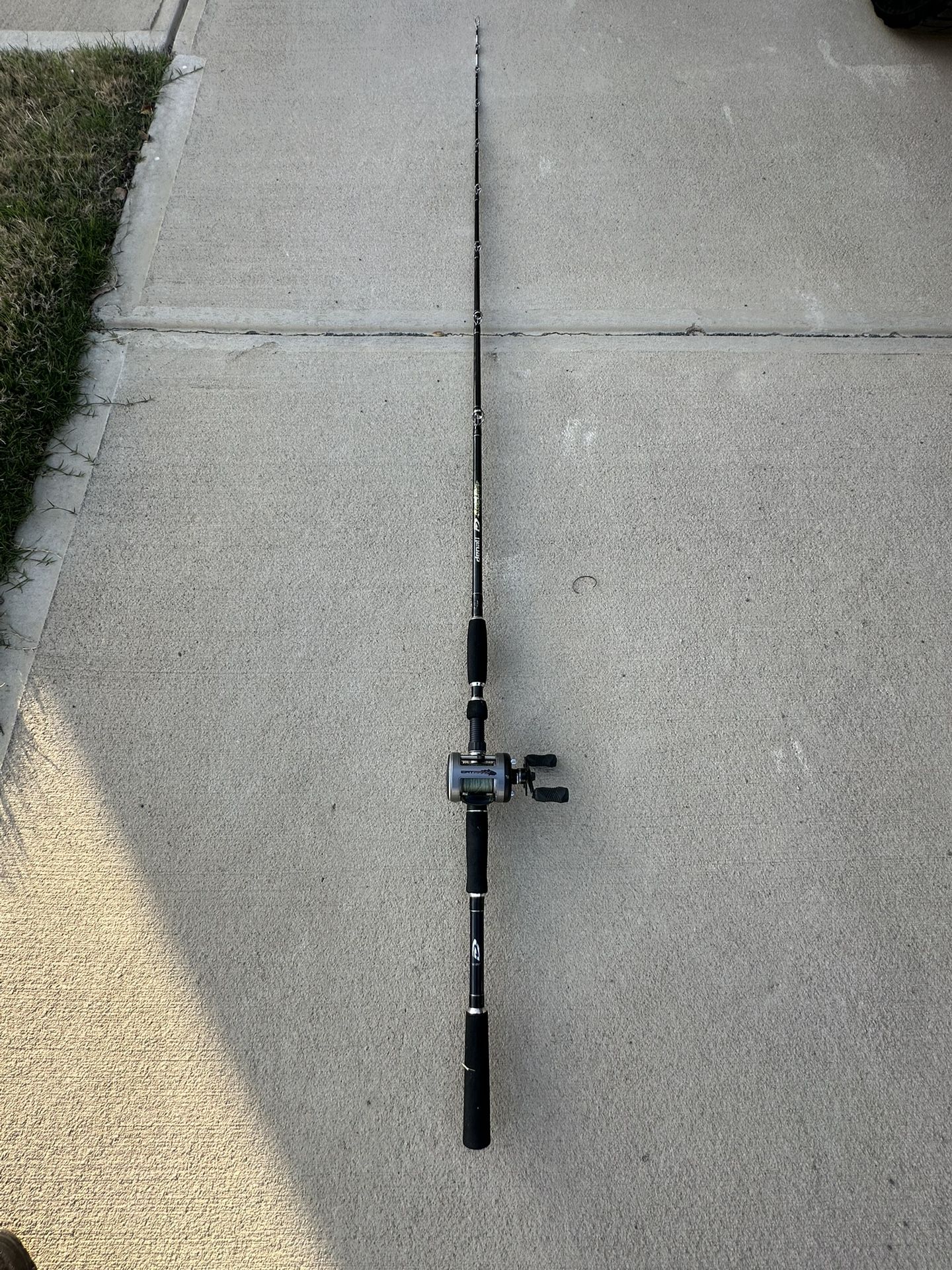 Denali Catfish fishing rod