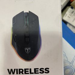 Mouse