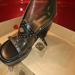 Harley Davidson Wedge