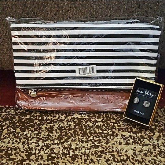 Brand New Clutch And Earring Set