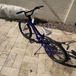 Blue Specialized Hot Rock Bmx Bike 20”