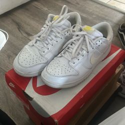 Low Nike Dunks