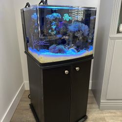 BioCube 29 Aquarium- Great Condition 