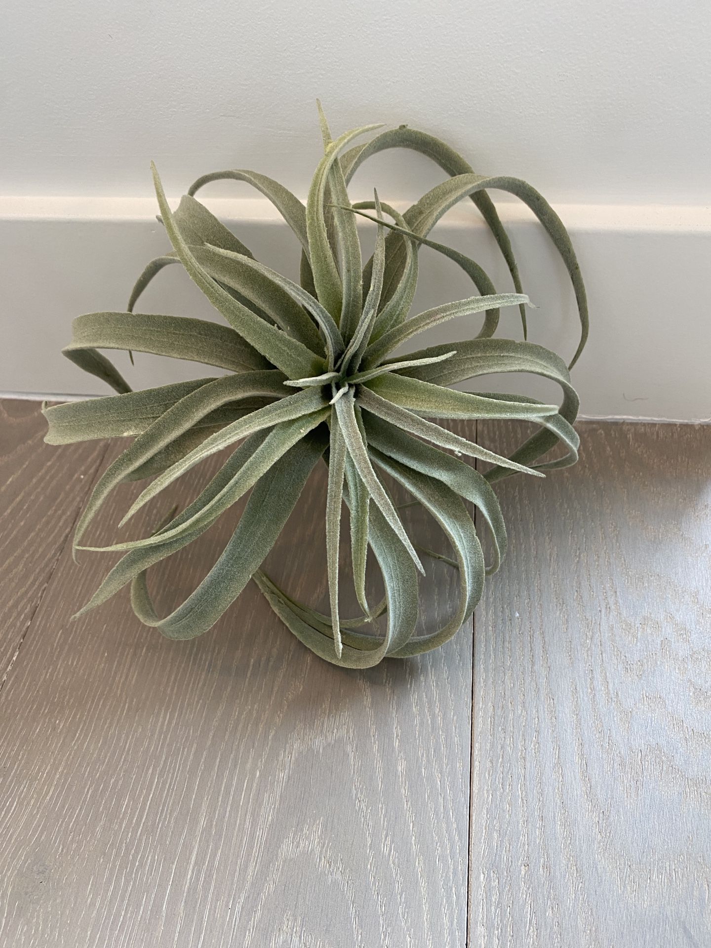 West Elm Faux Plant - Green