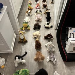 Webkinz W/O Codes