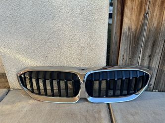 BMW Kidney Grills
