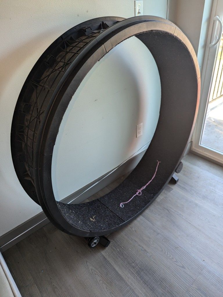 Cat Wheel